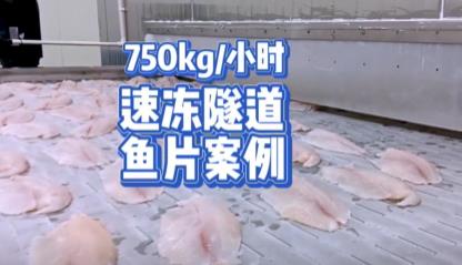 魚片750KG/小時(shí)速凍隧道案例 - 板帶隧道速凍機(jī)