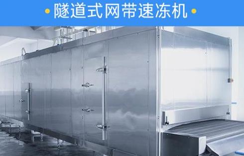 速凍機和冷凍庫分別適用于哪些場景？ (圖2)