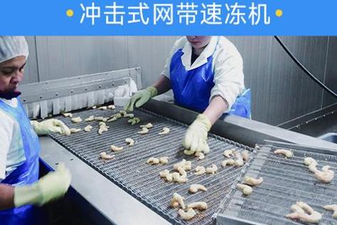 箱式液氮速凍設(shè)備定制？何選擇適合自己需求的